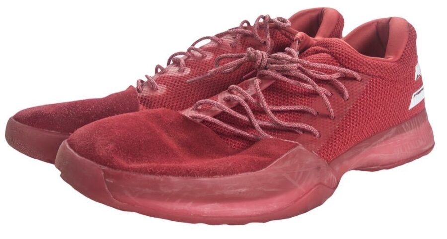 Zion Williamson Shoes