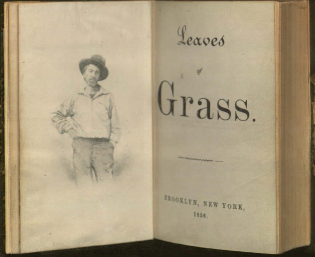 An Analysis Of Whitman s The Grass