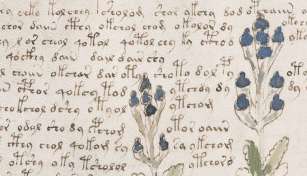 Voynich manuscript mystery