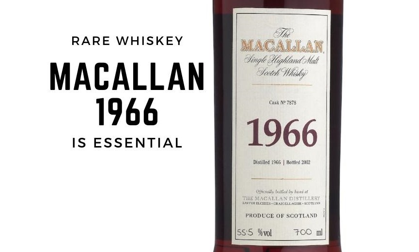 rare whiskey macallan 1966