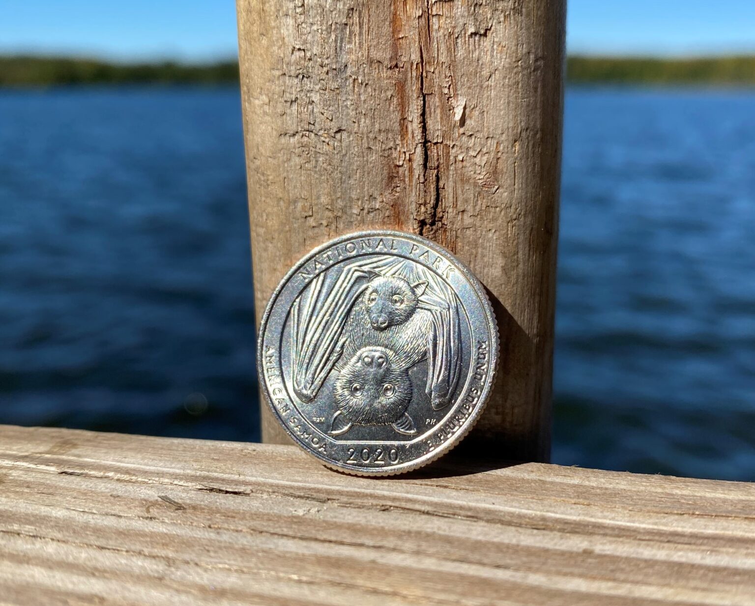 The Bat Quarter and America the Beautiful 2020 Quarter Value