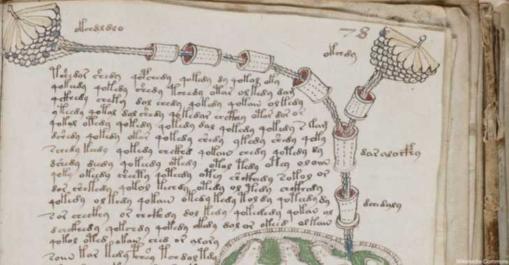 ancient voynich manuscript text