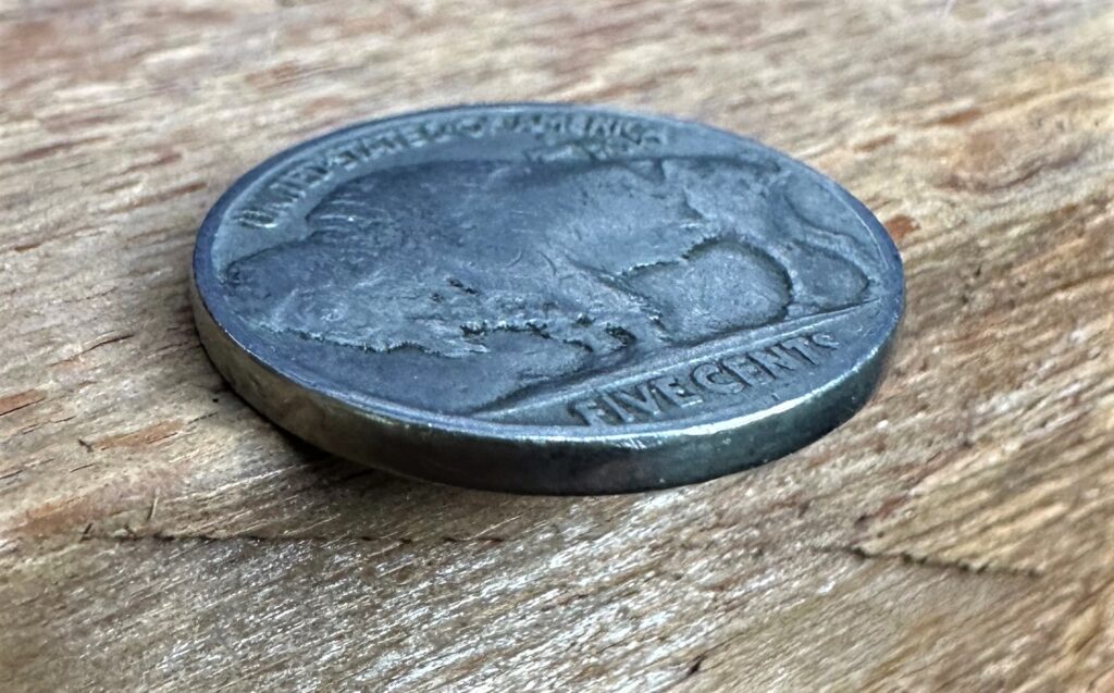 buffalo nickel