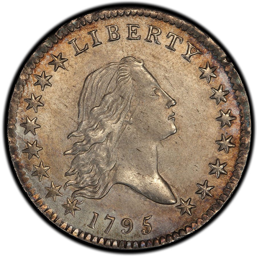 flowing hair half dollar